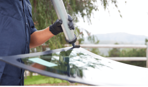 Professional Auto Glass Repair in Hutto TX 78634